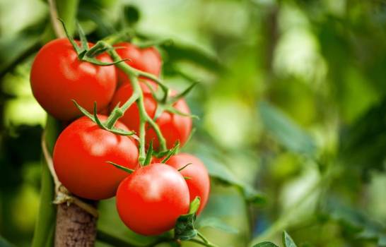 Podrías estar comiendo mal estos alimentos sin saberlo